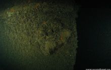 Nurkowanie Abilla, Kanonierka