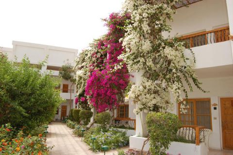 Wyjazd rodzinny do Safagi