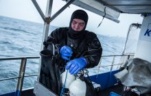 Wypad wrakowy 23 X 2016