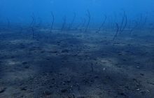 Zdjęcia z wyjazdu na Bali