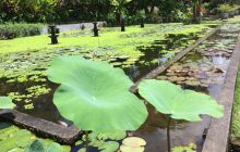 Zdjęcia z wyjazdu na Bali