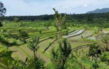 Zdjęcia z wyjazdu na Bali