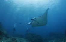 Zdjęcia z wyjazdu na Bali