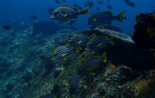 Zdjęcia z wyjazdu na Bali