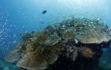 Zdjęcia z wyjazdu na Bali