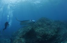 Zdjęcia z wyjazdu na Bali