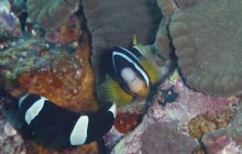 Zdjęcia z wyjazdu na Bali