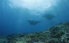 Zdjęcia z wyjazdu na Bali