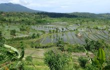 Zdjęcia z wyjazdu na Bali