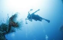 Zdjęcia z wyjazdu na Bali