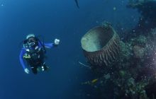 Zdjęcia z wyjazdu na Bali