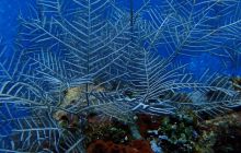 Zdjęcia z wyjazdu na Bali