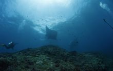 Zdjęcia z wyjazdu na Bali