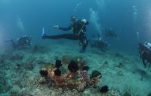 Zdjęcia z wyjazdu na Bali