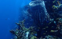 Zdjęcia z wyjazdu na Bali