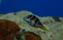 Zdjęcia z wyjazdu na Bali