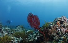 Zdjęcia z wyjazdu na Bali