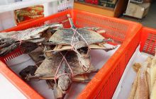 Zdjęcia z wyjazdu na Bali