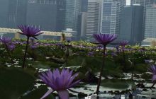 Zdjęcia z wyjazdu na Bali