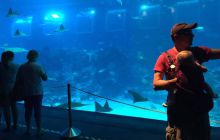 Zdjęcia z wyjazdu na Bali