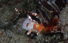 Zdjęcia z wyjazdu na Bali