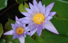 Zdjęcia z wyjazdu na Bali