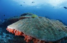 Zdjęcia z wyjazdu na Bali