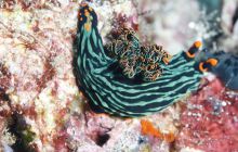 Zdjęcia z wyjazdu na Bali