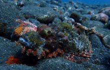 Zdjęcia z wyjazdu na Bali