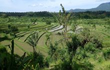 Zdjęcia z wyjazdu na Bali