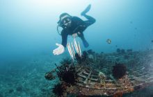 Zdjęcia z wyjazdu na Bali