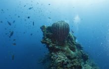 Zdjęcia z wyjazdu na Bali