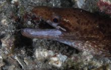 Zdjęcia z wyjazdu na Bali