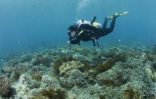 Zdjęcia z wyjazdu na Bali