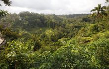 Zdjęcia z wyjazdu na Bali