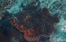 Zdjęcia z wyjazdu na Bali