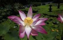 Zdjęcia z wyjazdu na Bali