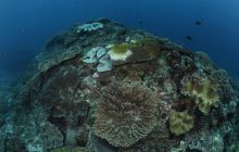 Zdjęcia z wyjazdu na Bali