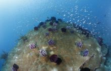 Zdjęcia z wyjazdu na Bali