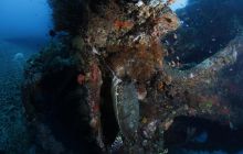 Zdjęcia z wyjazdu na Bali