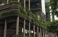 Zdjęcia z wyjazdu na Bali