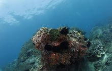 Zdjęcia z wyjazdu na Bali