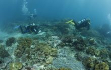 Zdjęcia z wyjazdu na Bali