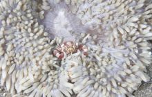 Zdjęcia z wyjazdu na Bali