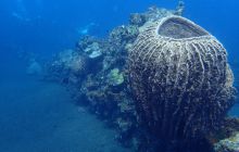 Zdjęcia z wyjazdu na Bali