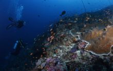 Zdjęcia z wyjazdu na Bali