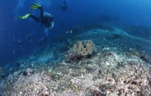 Zdjęcia z wyjazdu na Bali