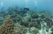 Zdjęcia z wyjazdu na Bali