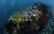 Zdjęcia z wyjazdu na Bali