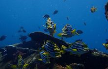 Zdjęcia z wyjazdu na Bali